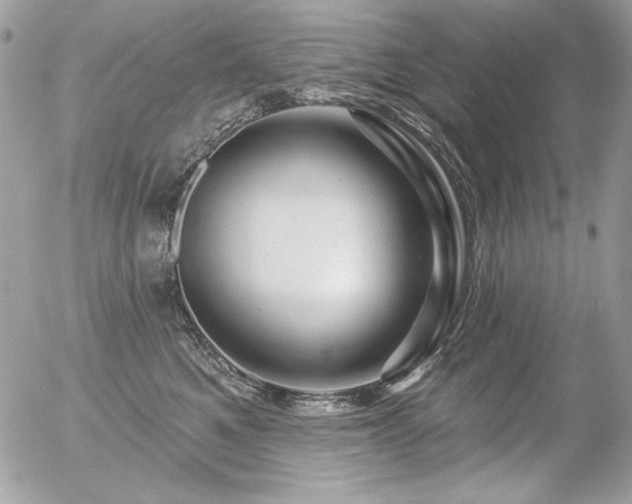 X0000056330521200508261224