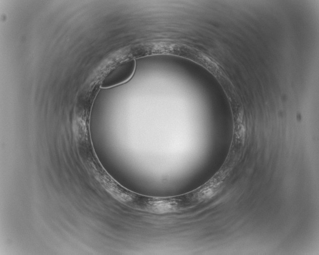 X0000056330522200508261224