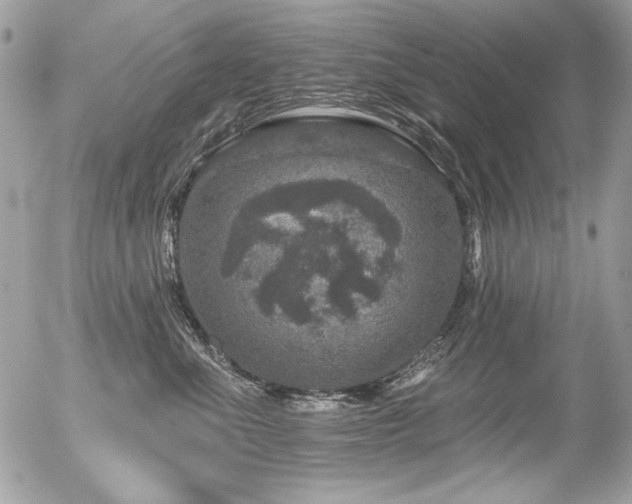 X0000056330523200508261224