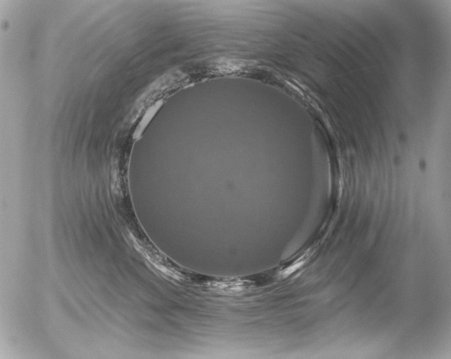 X0000056330524200508261224