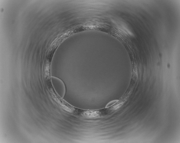 X0000056330526200508261224