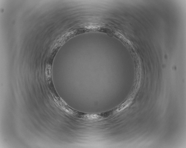 X0000056330528200508261223