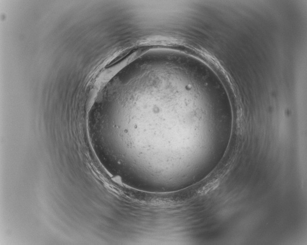 X0000056330529200508261223