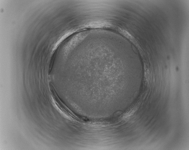 X0000056330530200508261223