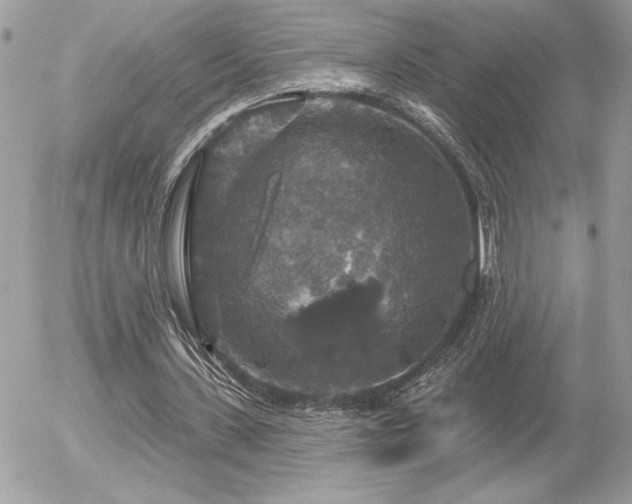 X0000056330531200508261223