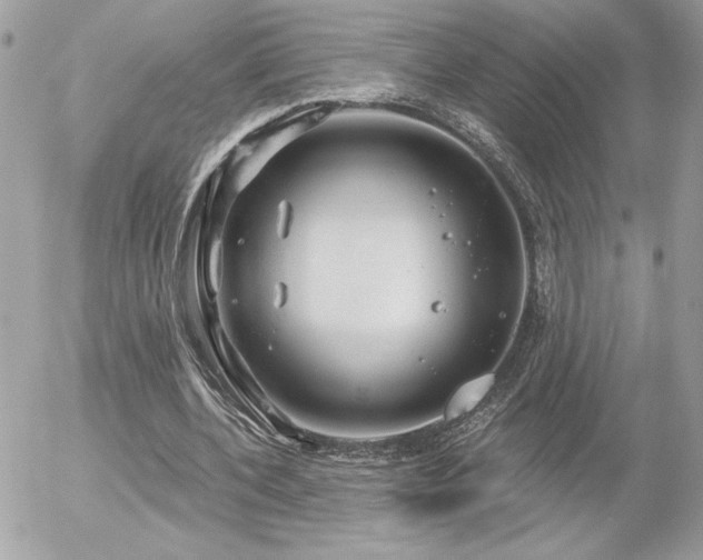 X0000056330532200508261223