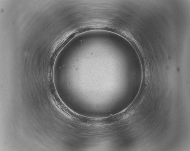 X0000056330533200508261223