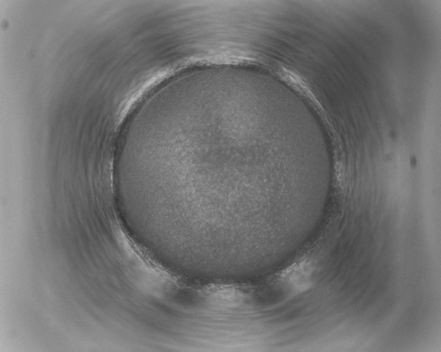 X0000056330534200508261223