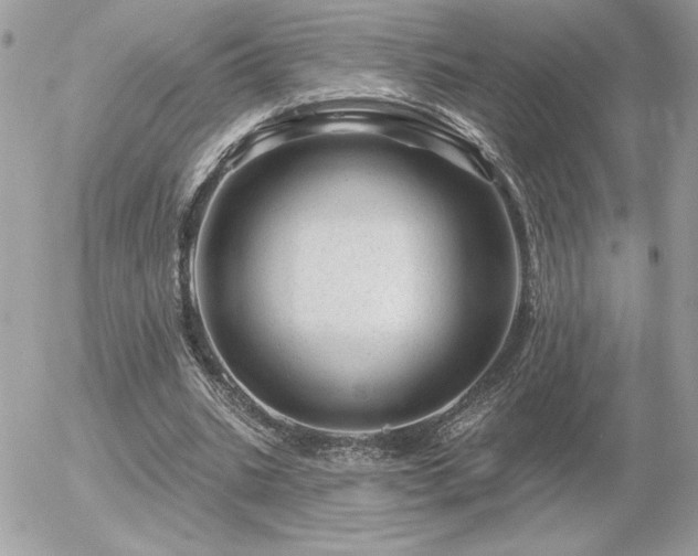 X0000056330535200508261223