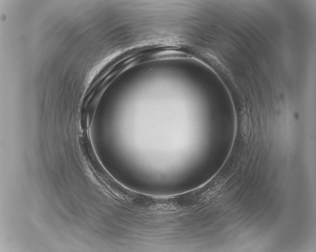 X0000056330536200508261223