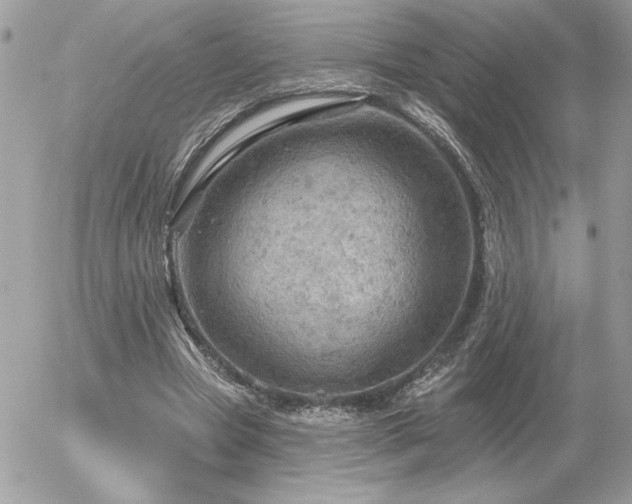 X0000056330537200508261223