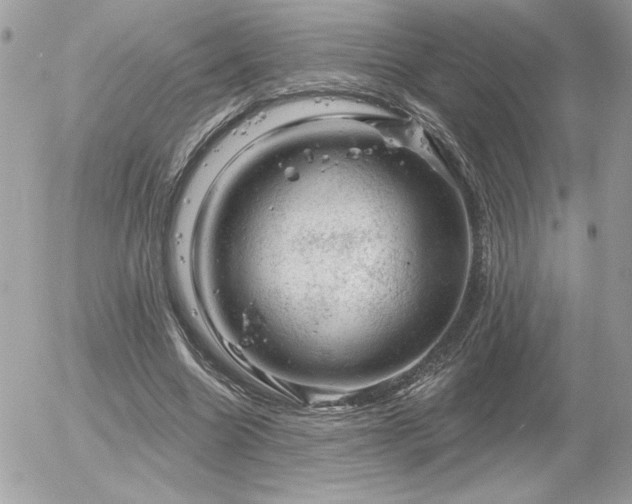 X0000056330538200508261223