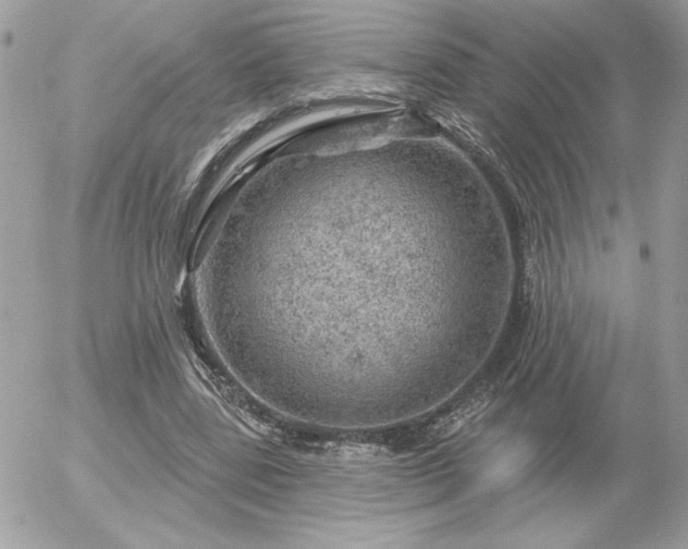 X0000056330539200508261223