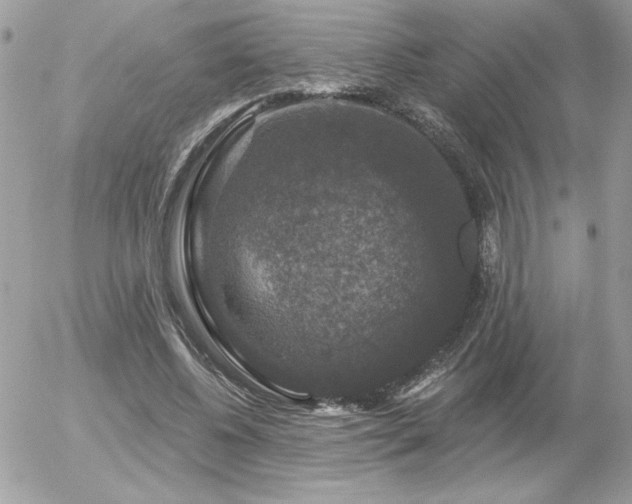 X0000056330540200508261223