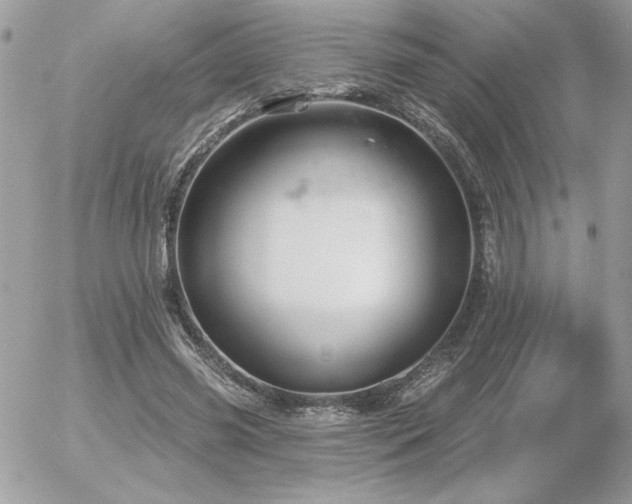 X0000056330541200508261223