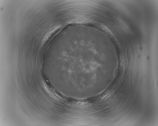 X0000056330542200508261223