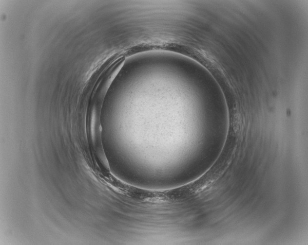 X0000056330544200508261223