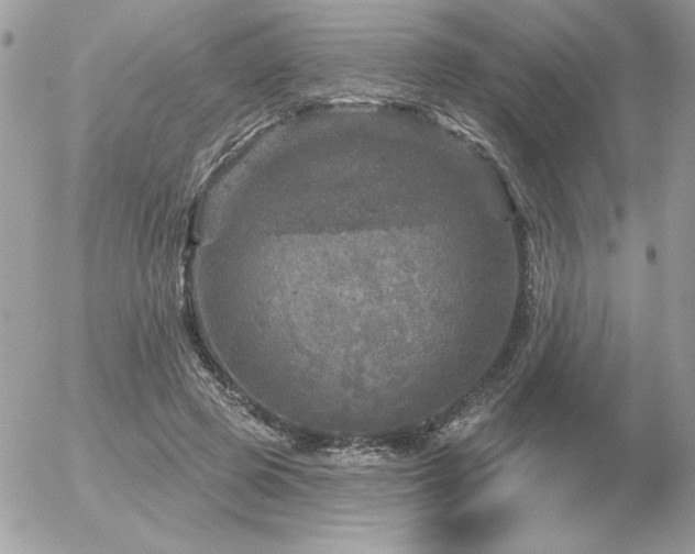 X0000056330545200508261223