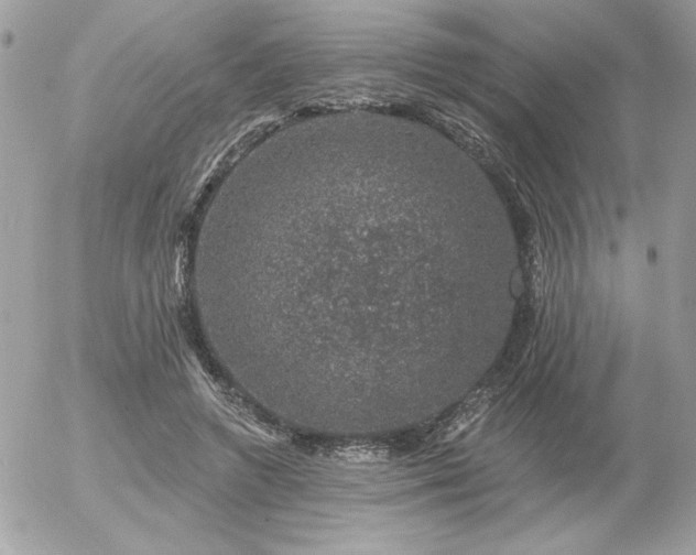 X0000056330546200508261223