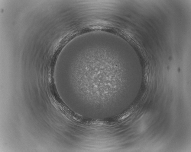 X0000056330547200508261223