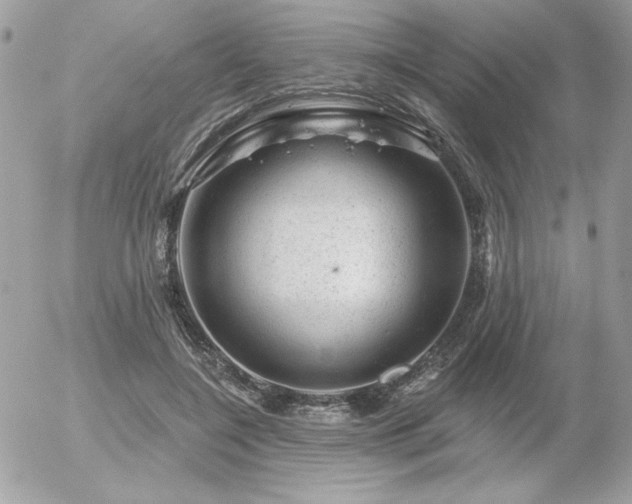 X0000056330548200508261223