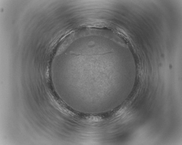 X0000056330549200508261223