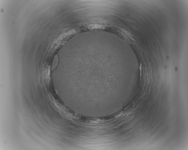 X0000056330550200508261223