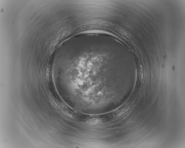 X0000056330551200508261223