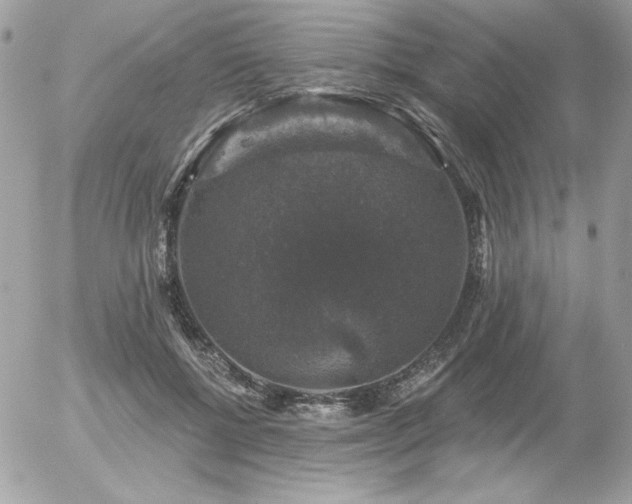 X0000056330552200508261223