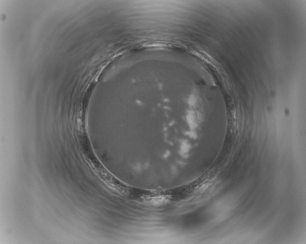 X0000056330553200508261223