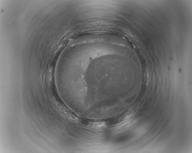 X0000056330554200508261223