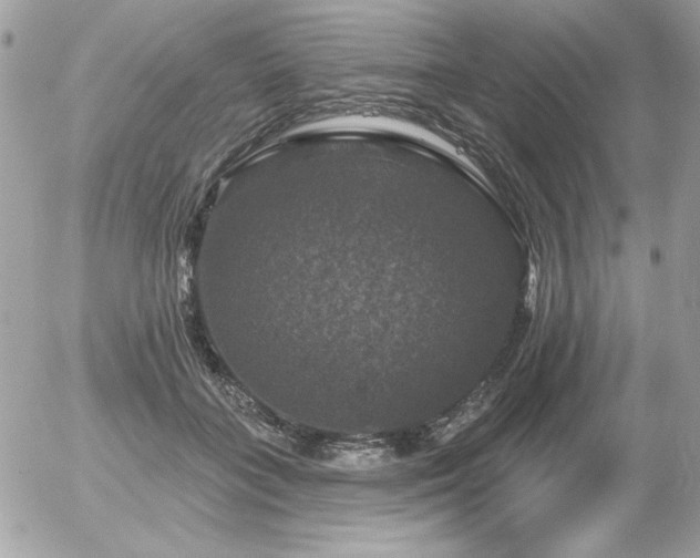 X0000056330555200508261223