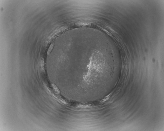 X0000056330556200508261223