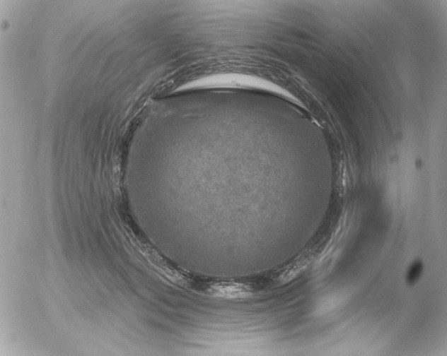 X0000056330557200508261223