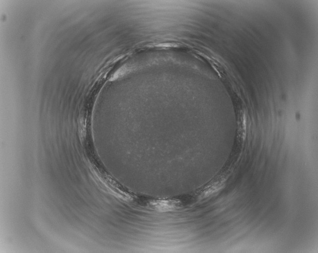 X0000056330558200508261223