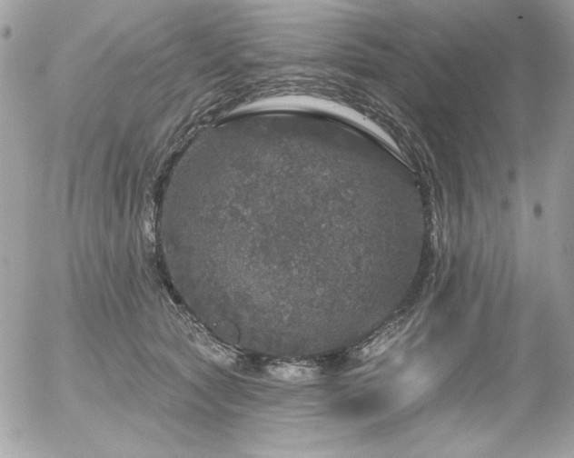 X0000056330561200508261223