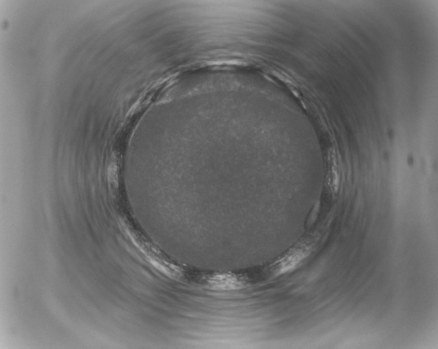 X0000056330562200508261223