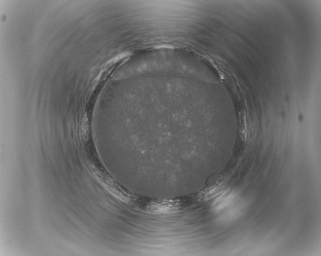 X0000056330563200508261223