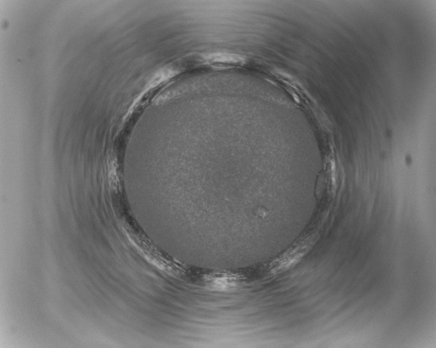 X0000056330564200508261223