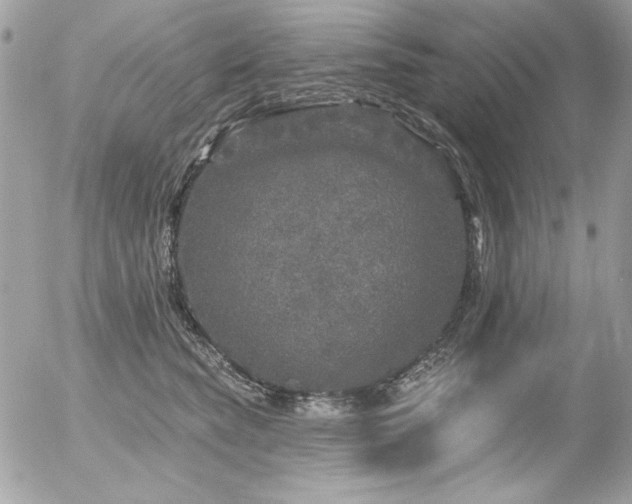 X0000056330565200508261223