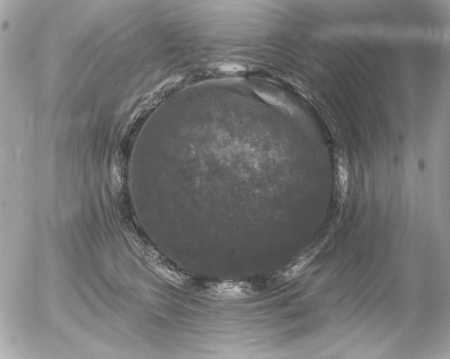 X0000056330566200508261223