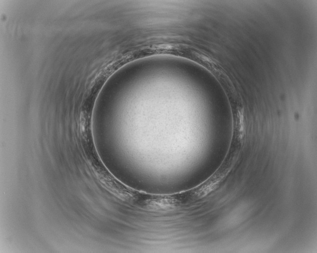 X0000056330567200508261223