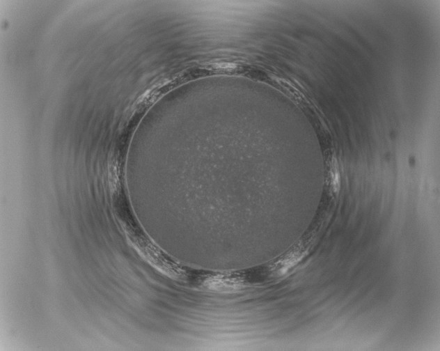 X0000056330568200508261223