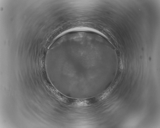 X0000056330569200508261223