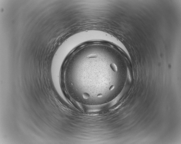 X0000056330570200508261223