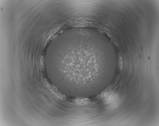 X0000056330571200508261223