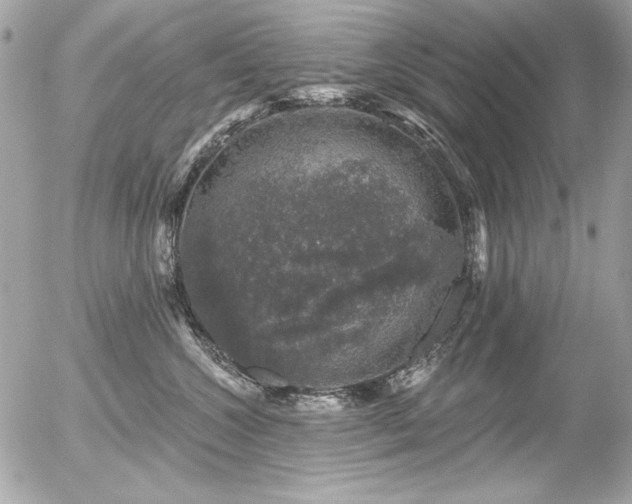 X0000056330572200508261223