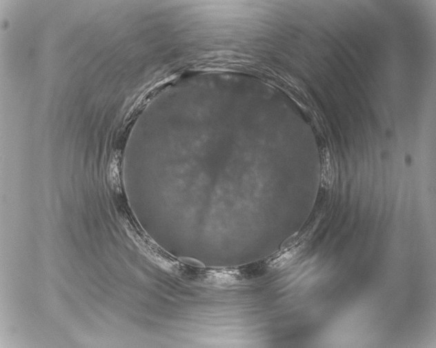 X0000056330573200508261223