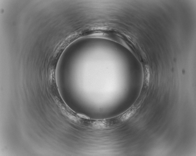 X0000056330574200508261223