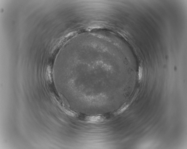 X0000056330575200508261223